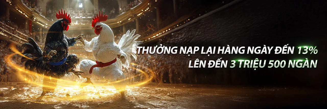 Sòng bạc Trực tiếp Dewabet với dealer chuyên nghiệp